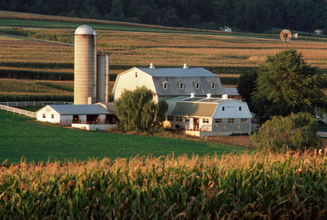 The charming billionaire made his offer after catching a glimpse of Indiana's "alluring and bountiful fields."
